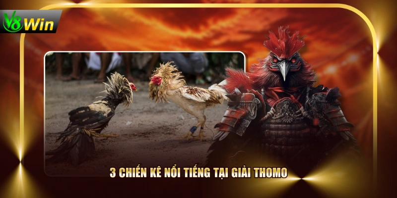 3 chiến kê nổi tiếng tại giải Thomo