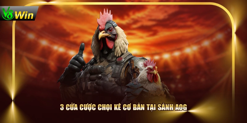 3 cửa cược chọi kê cơ bản tại sảnh AOG