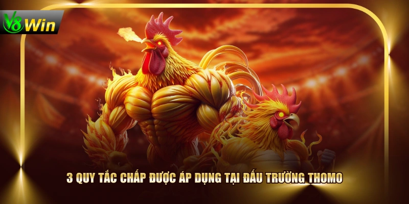 3 quy tắc chấp được áp dụng tại đấu trường Thomo