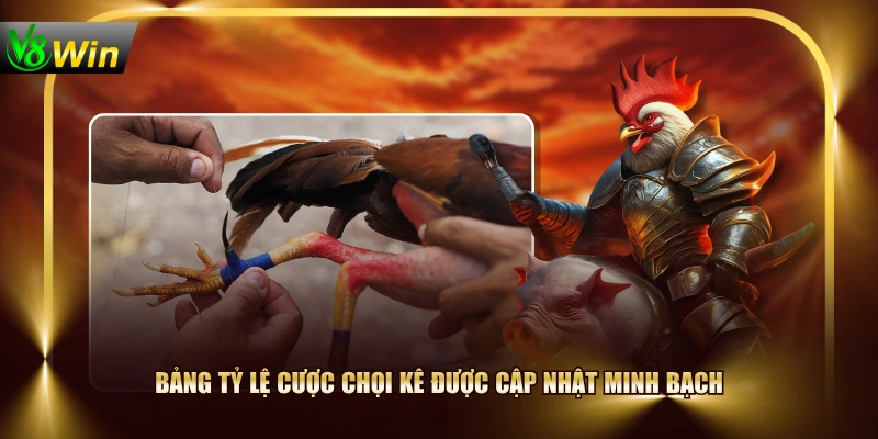 Bảng tỷ lệ cược chọi kê được cập nhật minh bạch