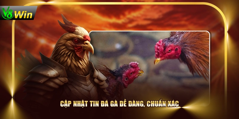 Cập nhật tin đá gà dễ dàng, chuẩn xác