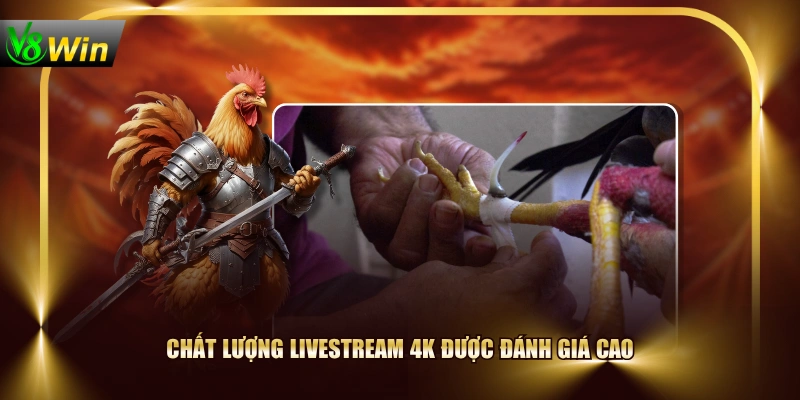 Chất lượng livestream 4K được đánh giá cao
