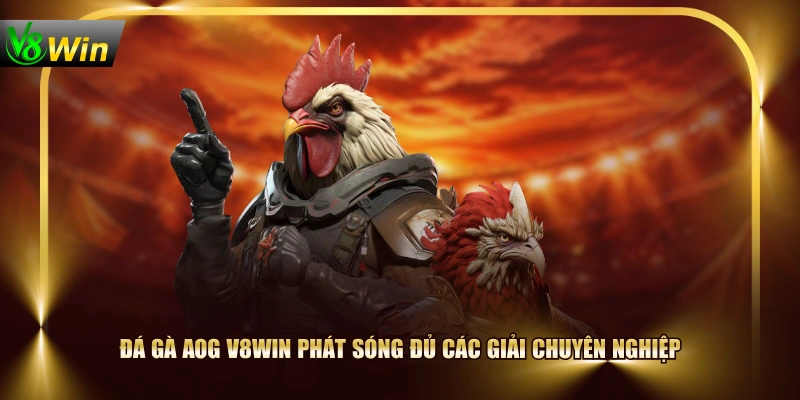 Đá gà AOG V8WIN phát sóng đủ các giải chuyên nghiệp