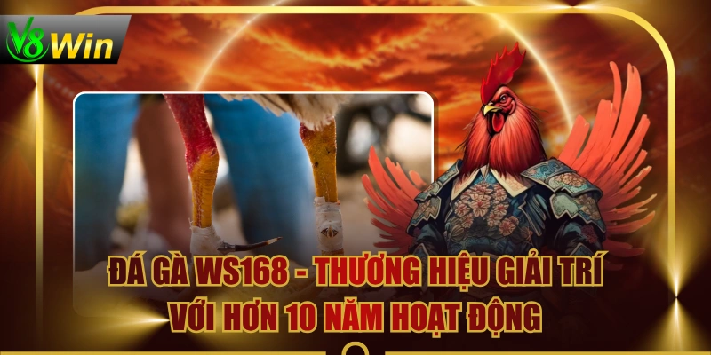 Đá Gà WS168 - Thương Hiệu Giải Trí Với Hơn 10 Năm Hoạt Động