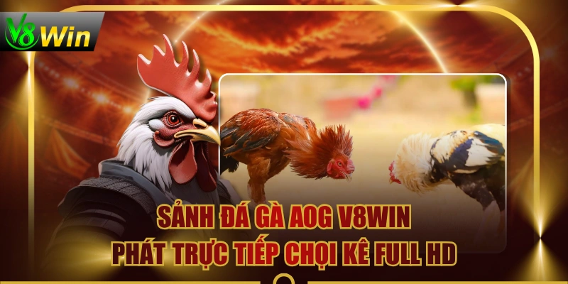 Sảnh Đá Gà AOG V8WIN Phát Trực Tiếp Chọi Kê Full HD