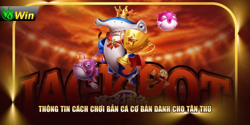 Thông tin cách chơi Bắn Cá cơ bản dành cho tân thủ