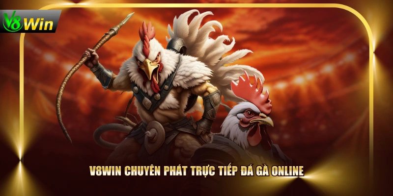 V8WIN chuyên phát trực tiếp đá gà online